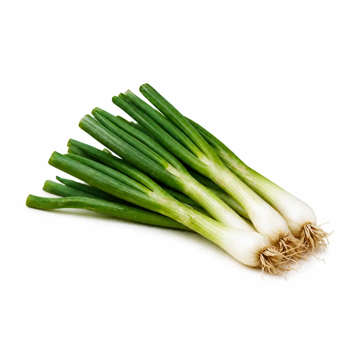 Green Onion (ہرا پیاز)
