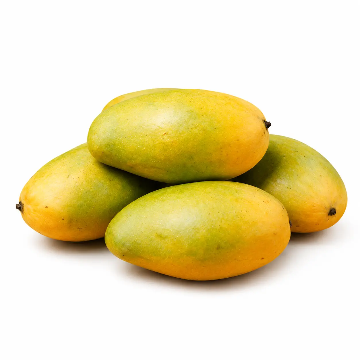 Mango Dusehri (آم دسیری)