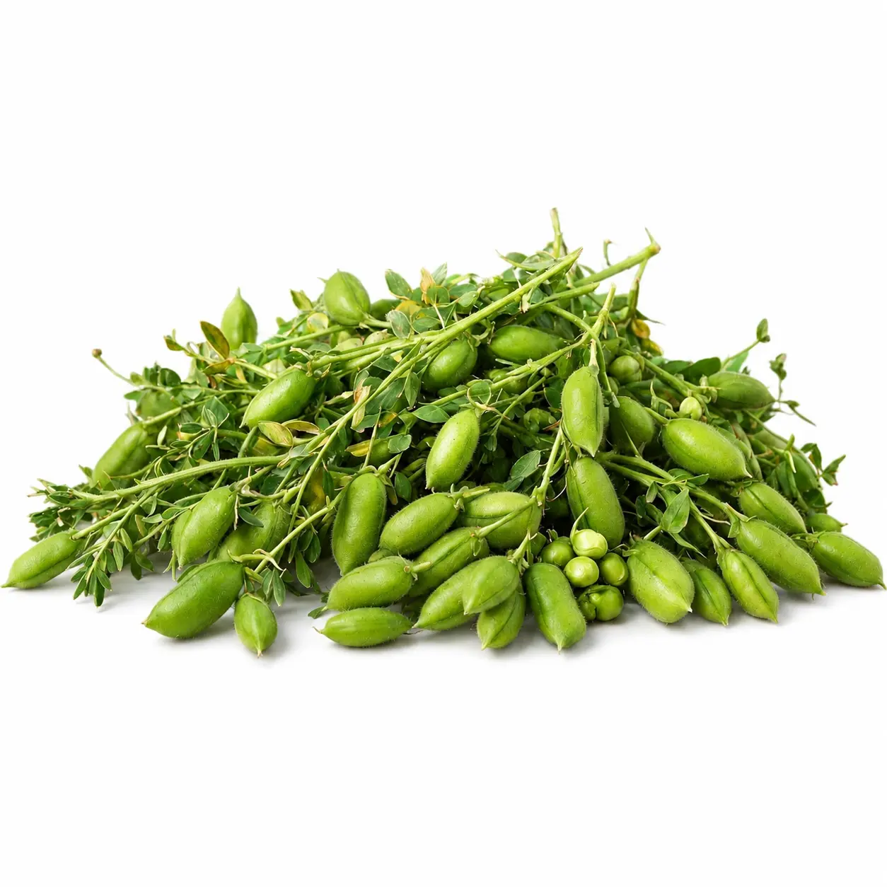 Green Chickpeas (چھولیہ)