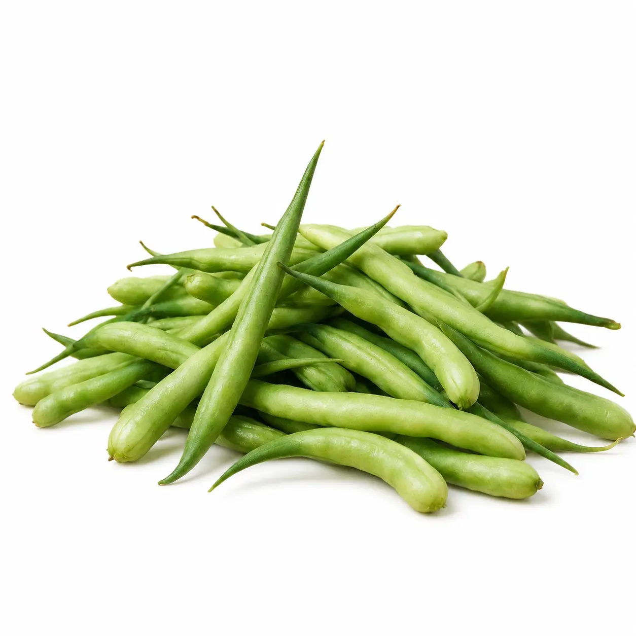 Mongray (مونگرے)