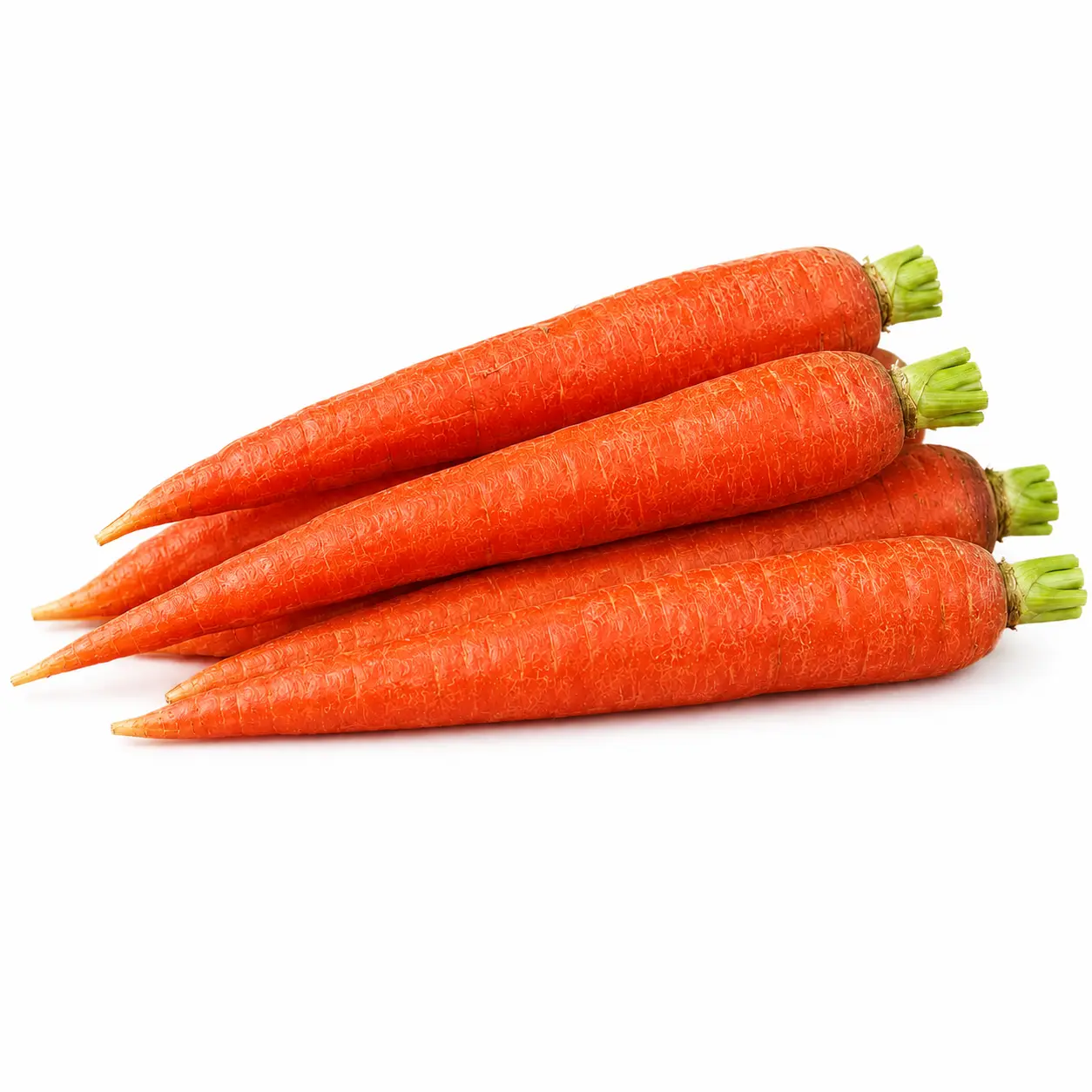 Carrot (گاجر)