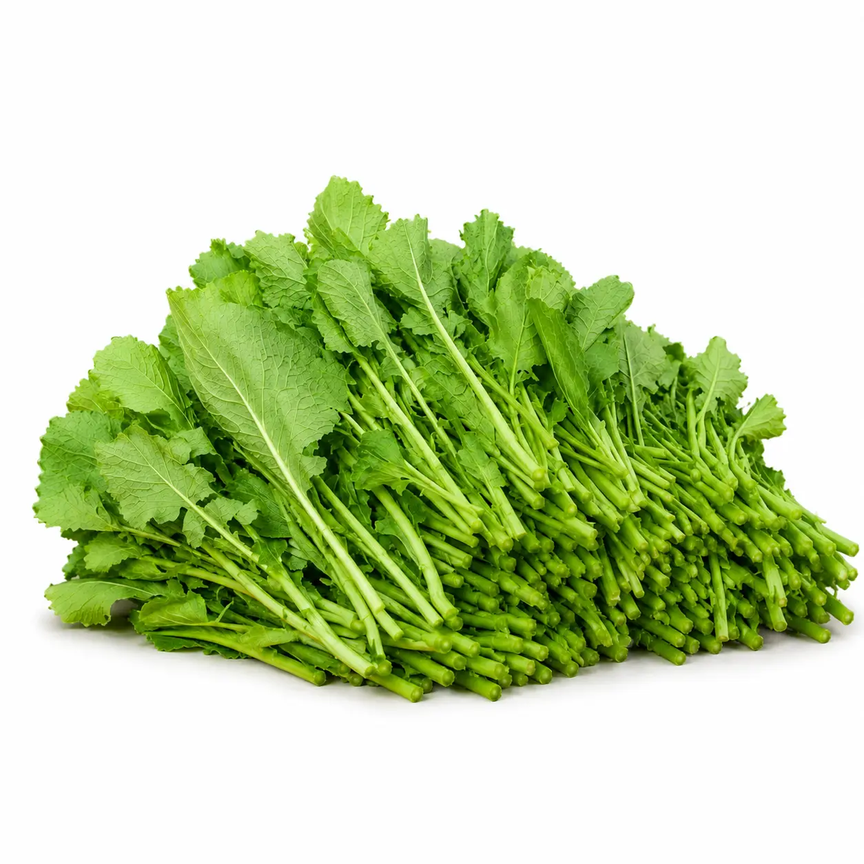 Mustard Leaf (ساگ)