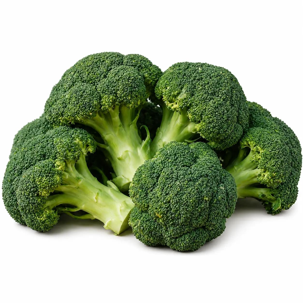 Broccoli (بروکلی)