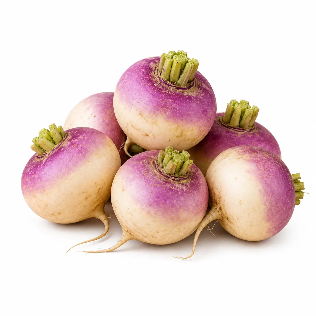 Turnip (شلجم)