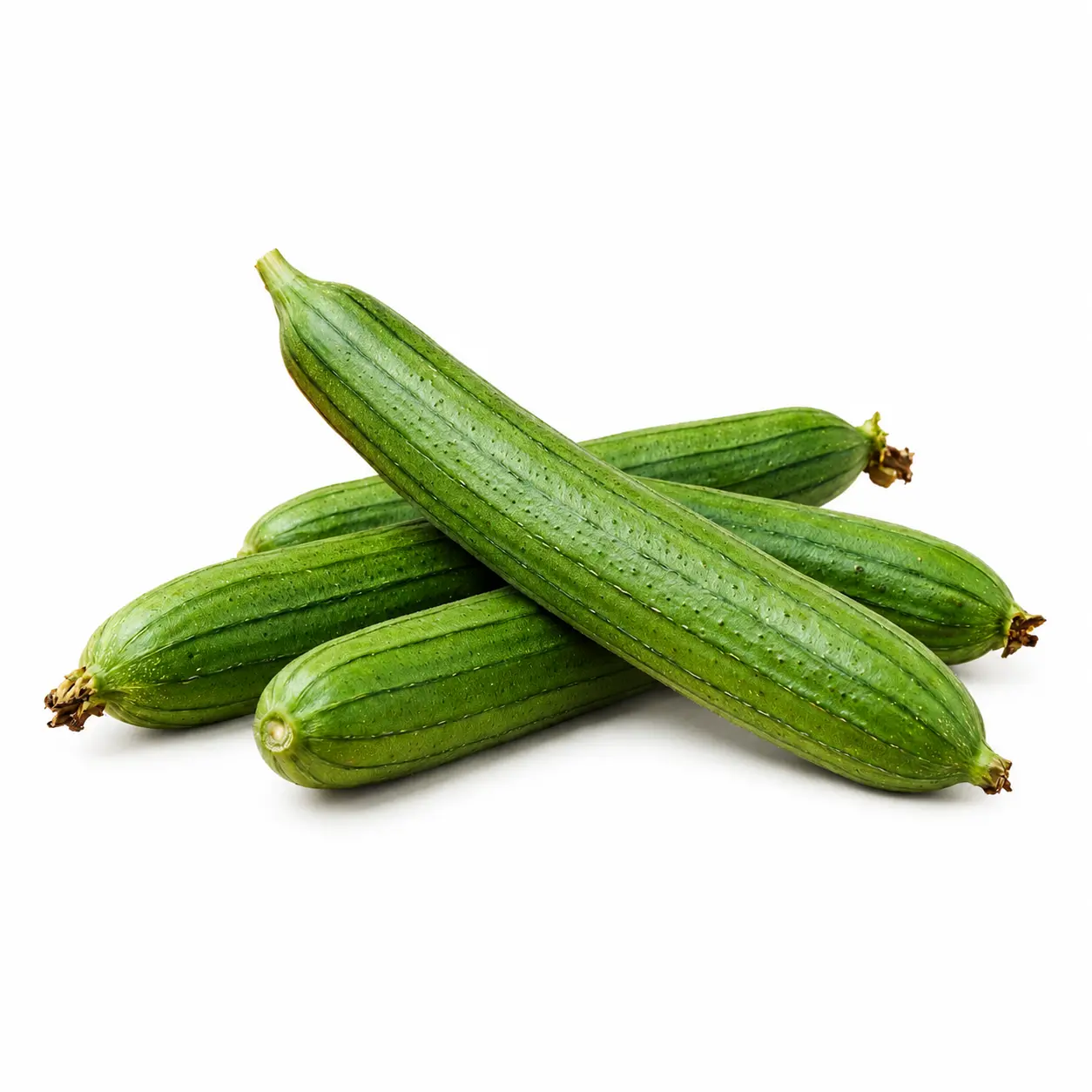 Ridged Gourd (توریاں)
