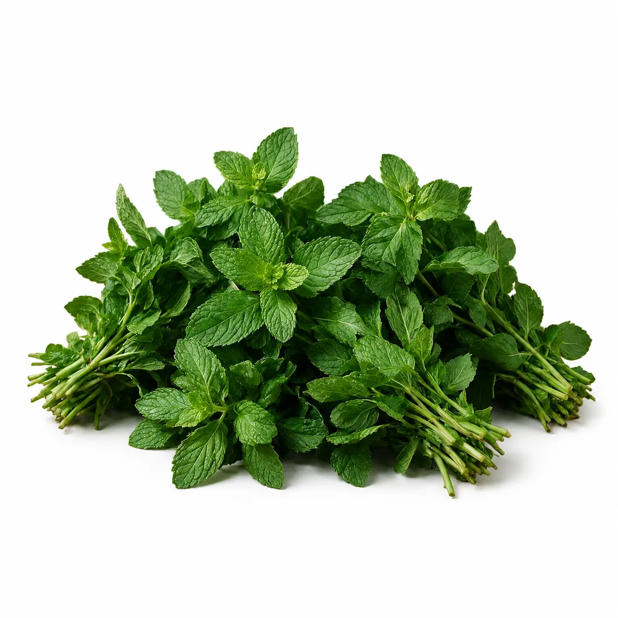 Mint (پودینہ)