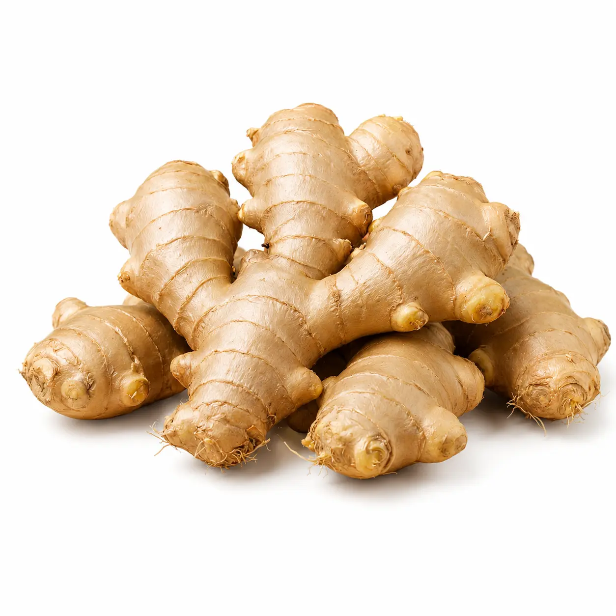 Ginger (ادرک)