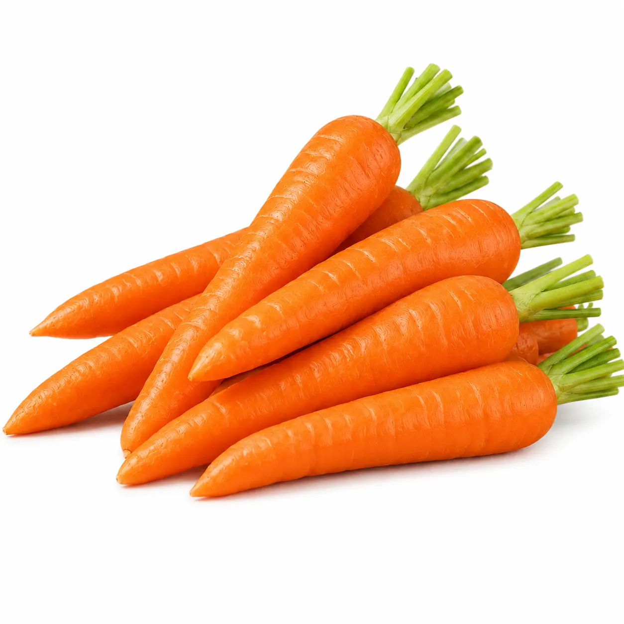 Chinese Carrot (گاجر)