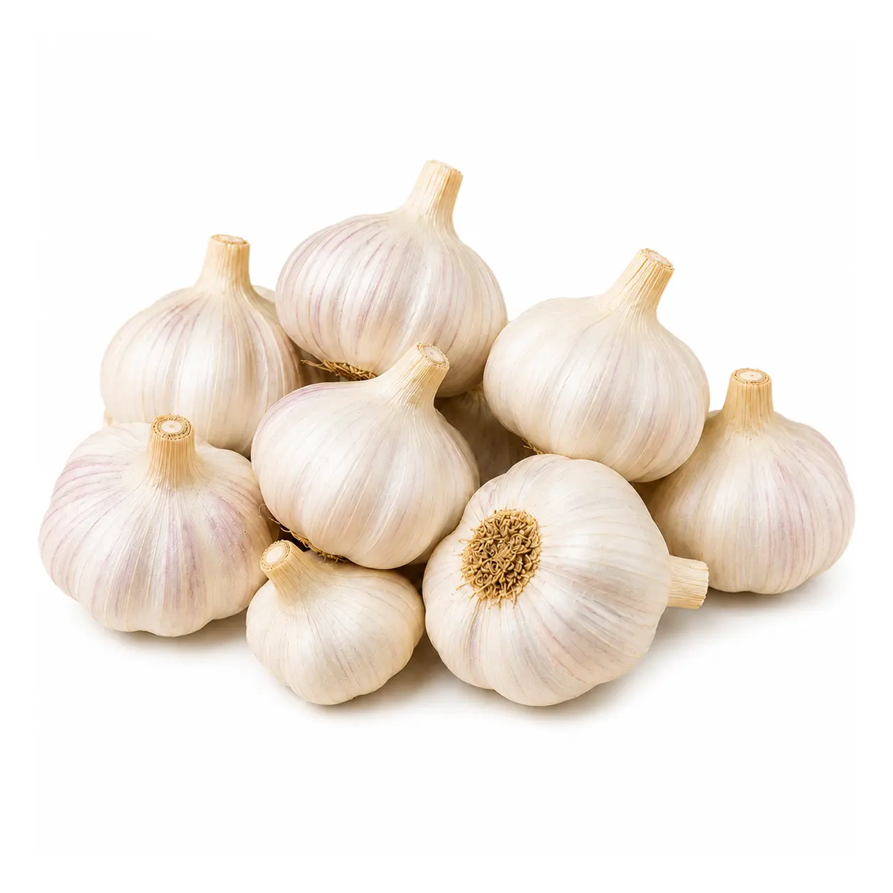 Mota Garlic (موٹا لہسن)