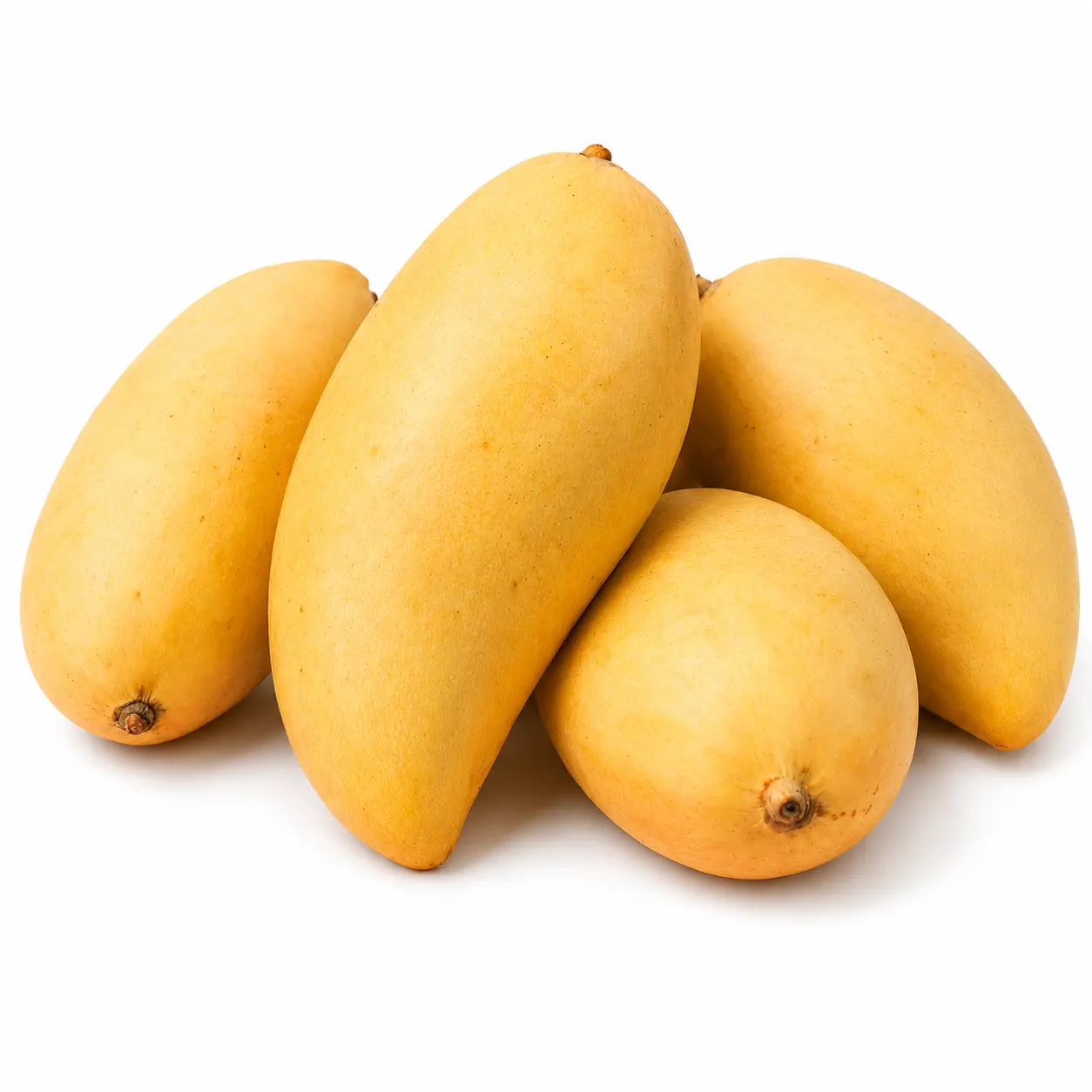 Mango Sindhri (آم سندھڑی)