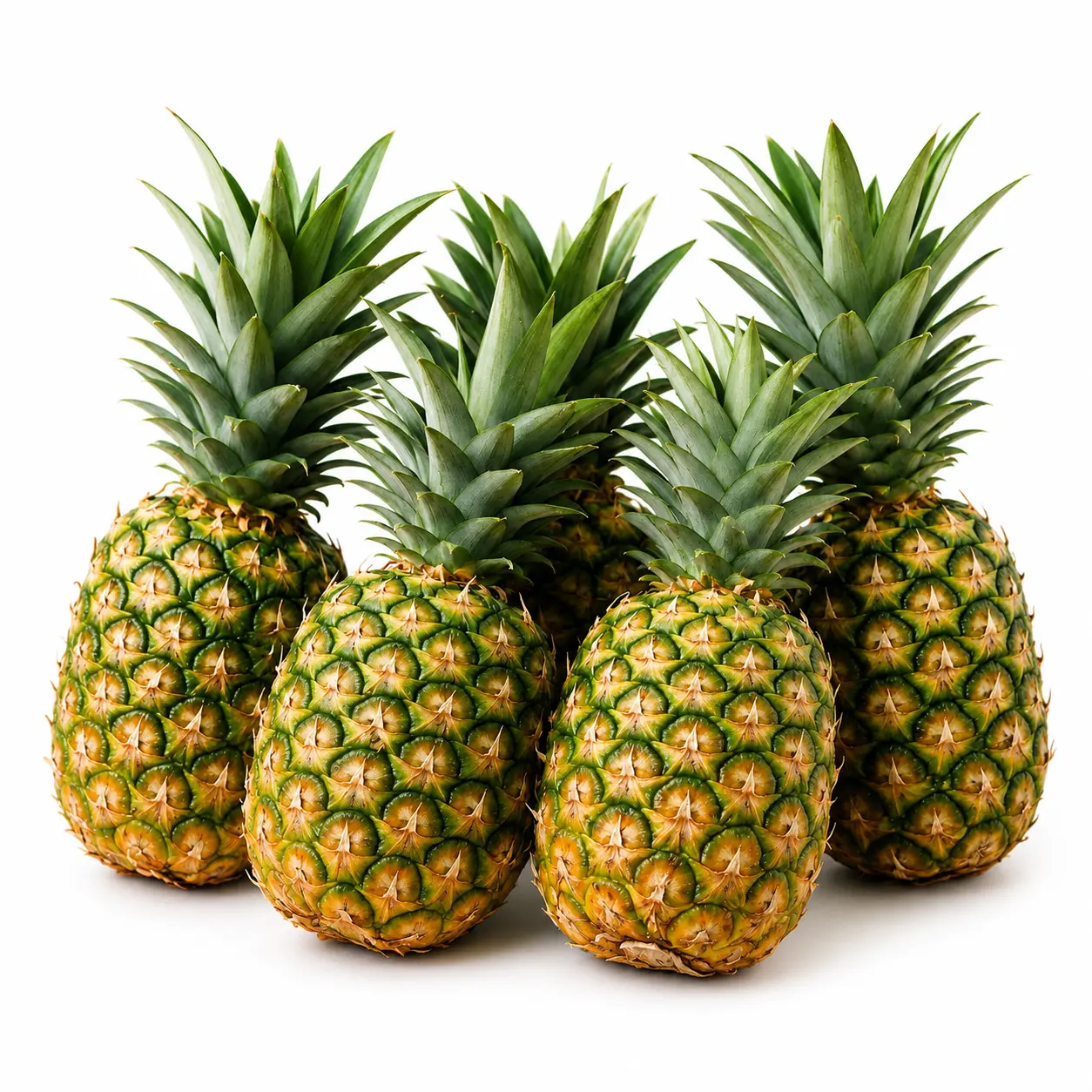 Pineapple (انناس)
