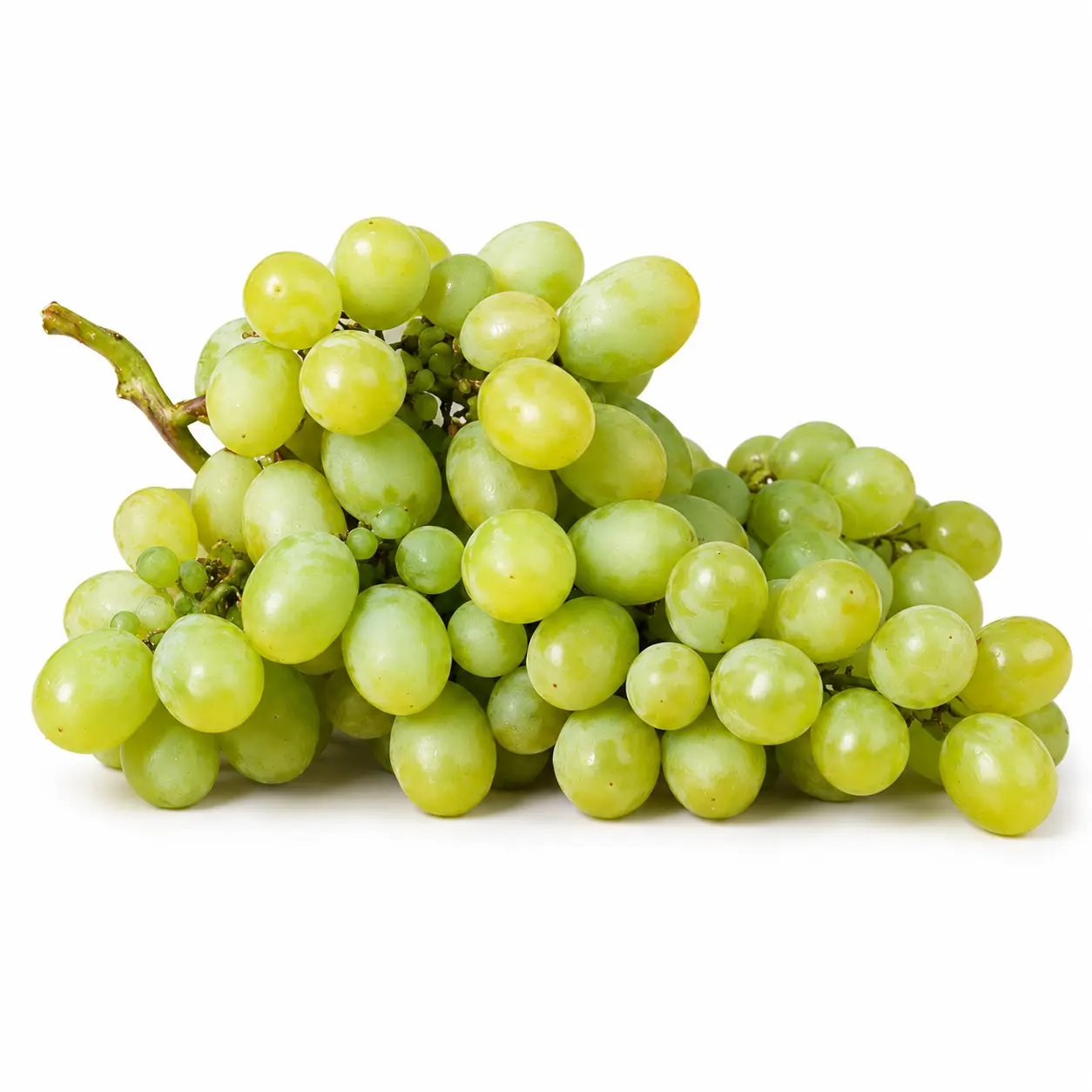 Grapes (انگور)