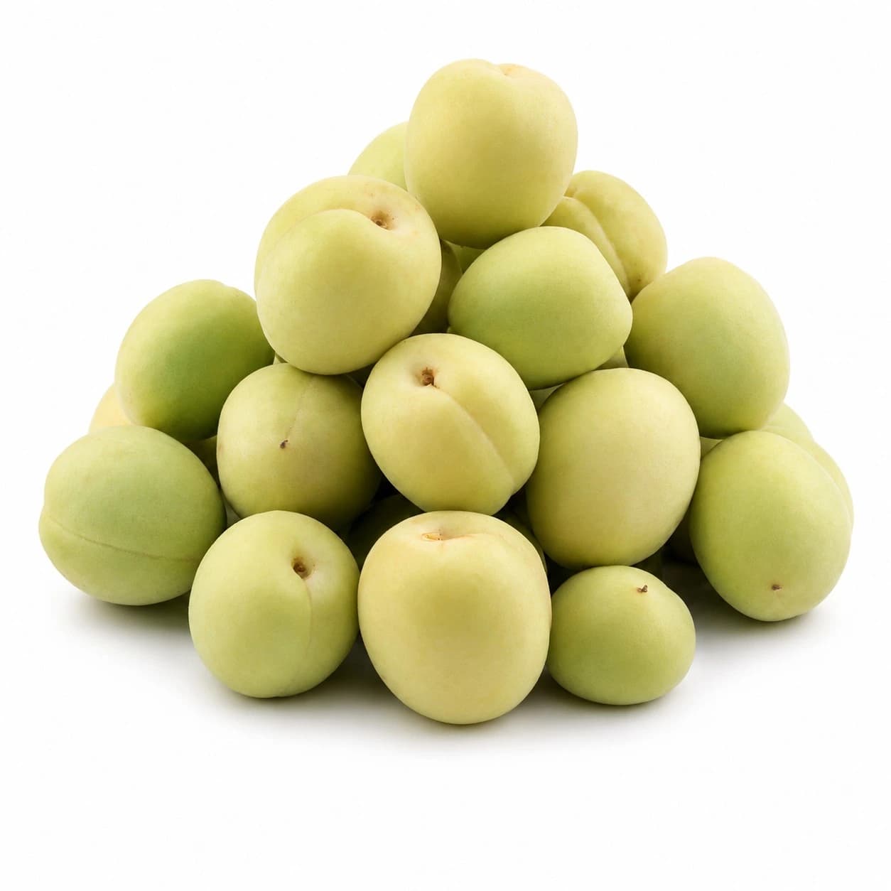 Apricot (خوبانی)