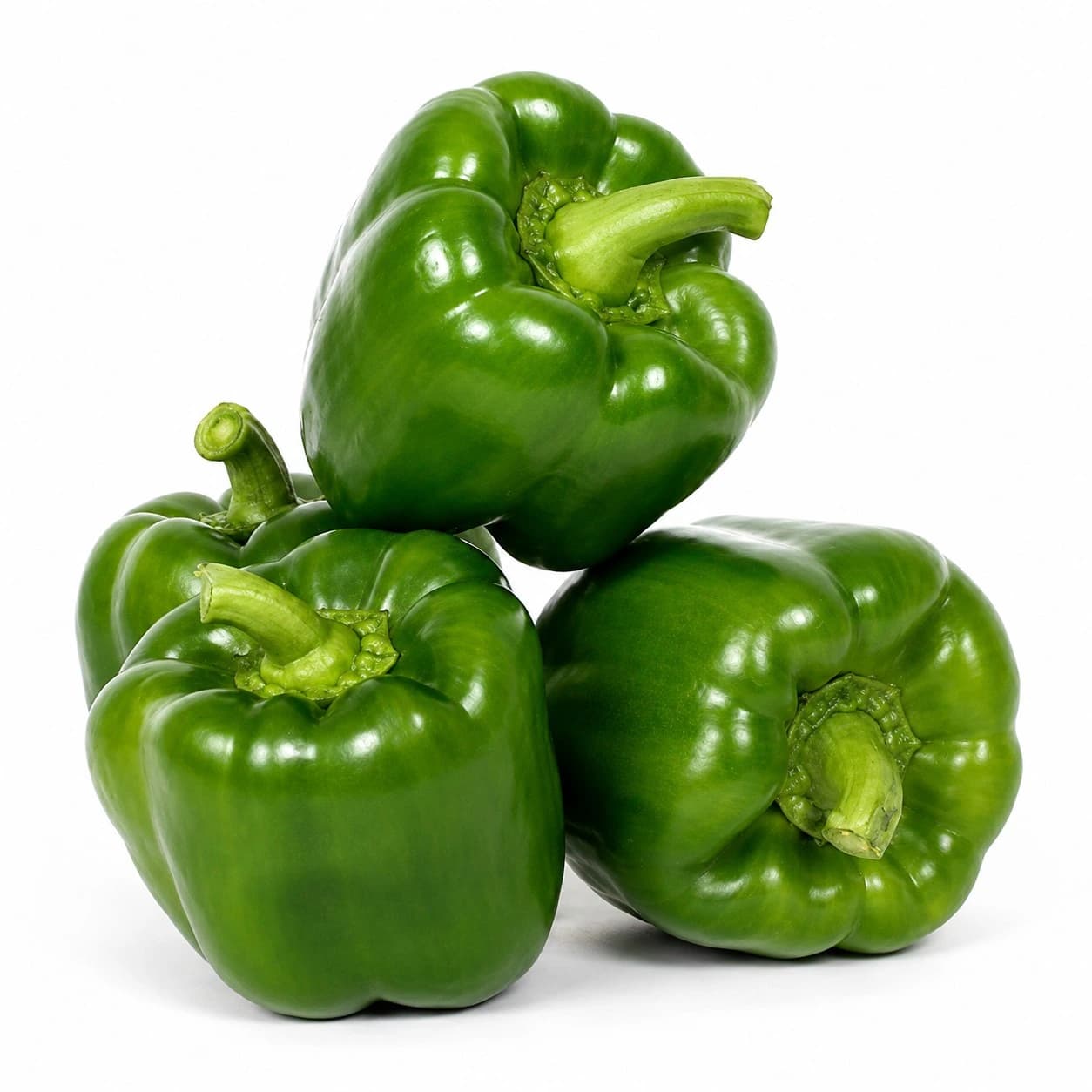 Capsicum (شملہ مرچ)