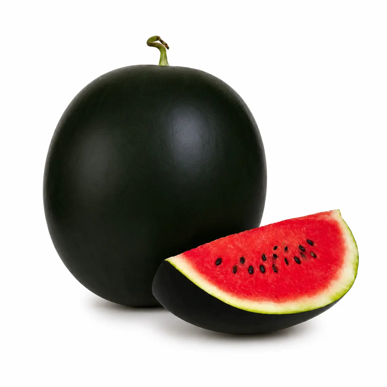Watermelon (تربوز)
