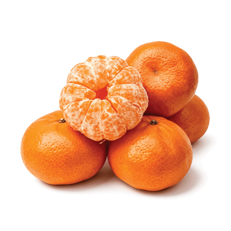 Fruiter (فروٹر)